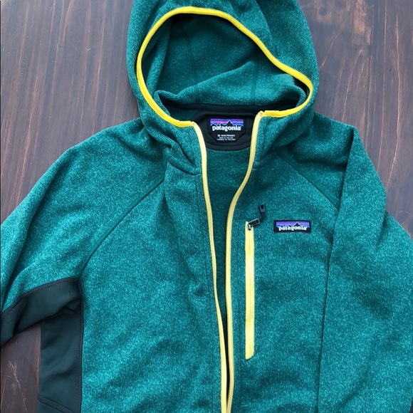 Patagonia Other - Patagonia Sweater Hoodie